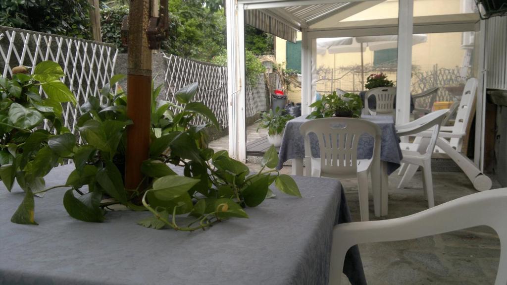 Le Conchiglie Hotel Levanto Exterior photo